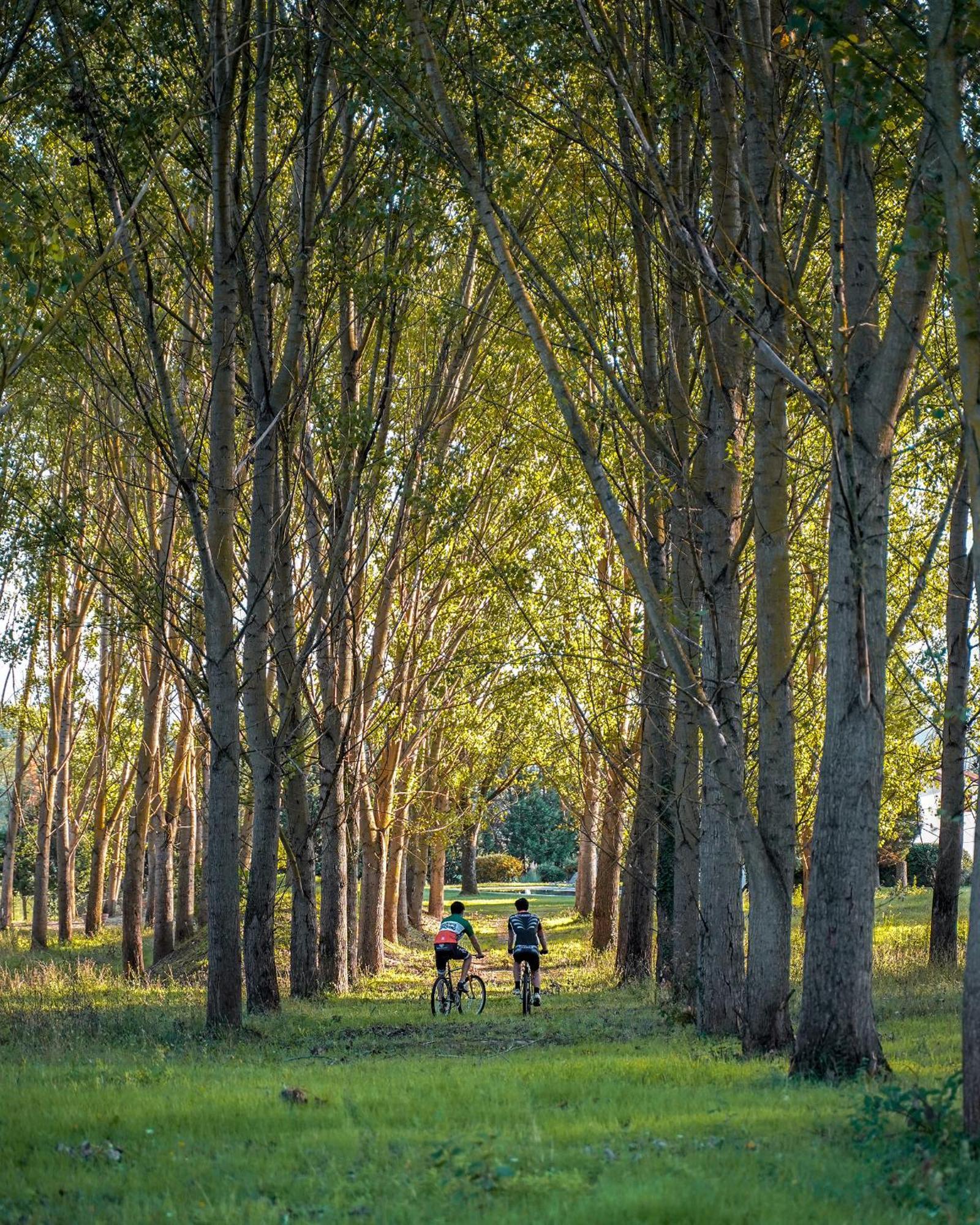 Viesca Suites & Villas Il Borro Toscana Reggello Exteriér fotografie